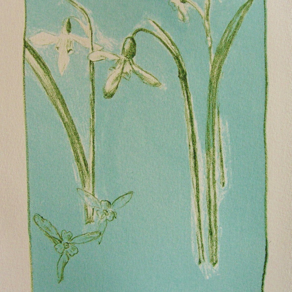 steendruk - sneeuwklokje 20 x 13 cm
