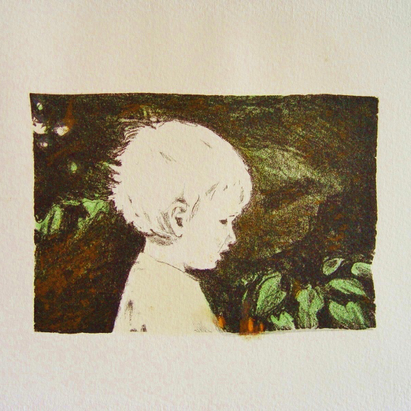 steendruk - Rein 10 x 15 cm
